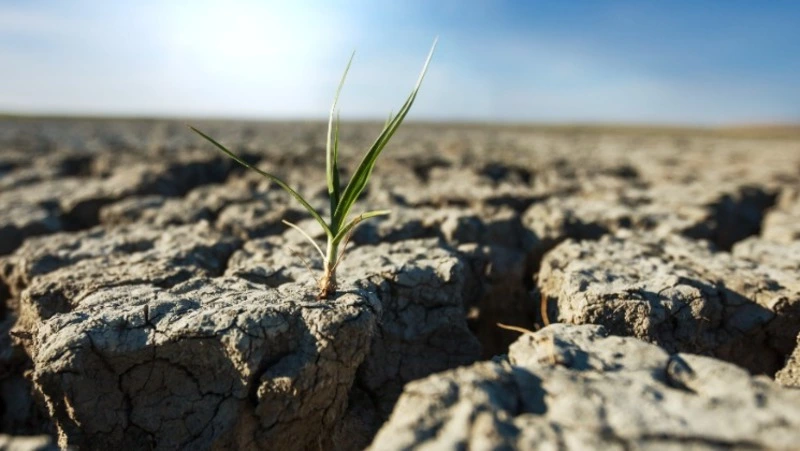 Сахалинский климатический форум: в 16 регионах России идет процесс полной деградации почв