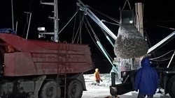 Около 300 тонн наваги за неделю выловили рыбопромышленники в Поронайске