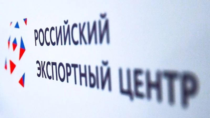 РЭЦ объявил о старте приема заявок на компенсацию затрат по транспортировке продукции за рубеж