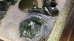 Запас домашней конопли нашли у мужчины на севере Сахалина