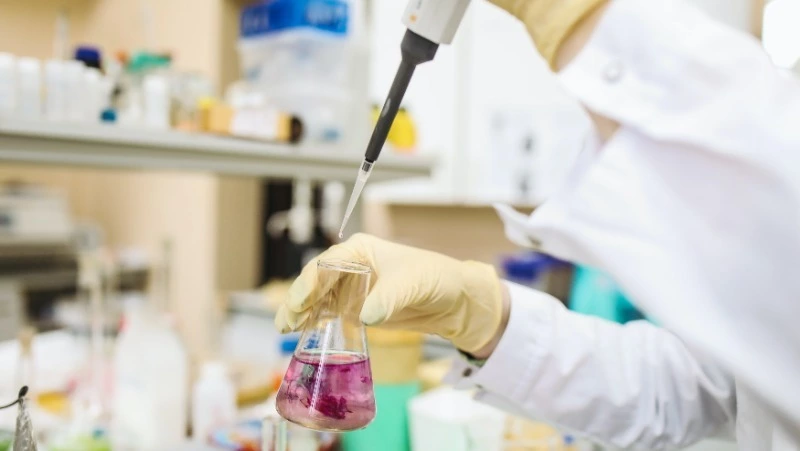 Назван вероятный источник штамма «дельтакрон»