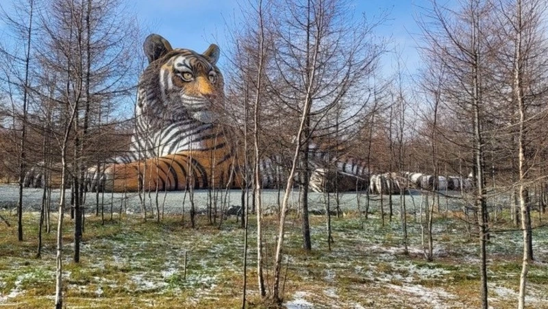 Самая большая в России скульптура тигра открылась на Сахалине