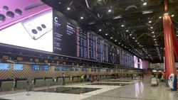 Проблемы с онлайн-регистрацией жителей Сахалина на рейсы «Аэрофлота» затянутся