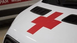 Путин поручил усовершенствовать запись к врачу через портал «Госуслуги»