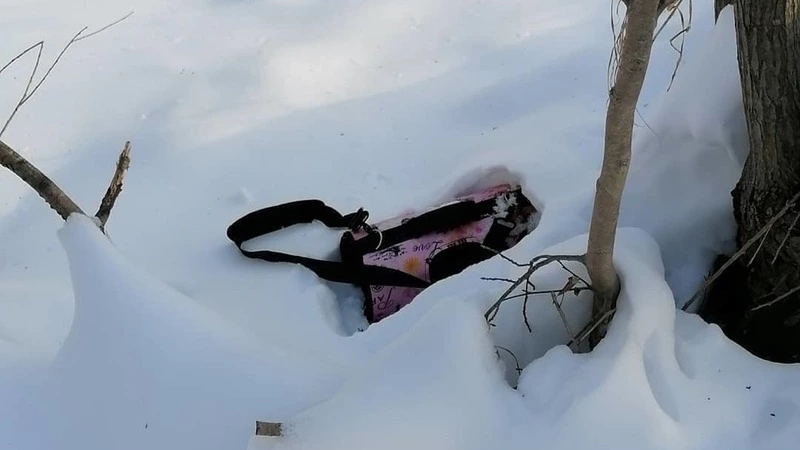 Неизвестные убили кота в Поронайске и выбросили в переноске на улицу