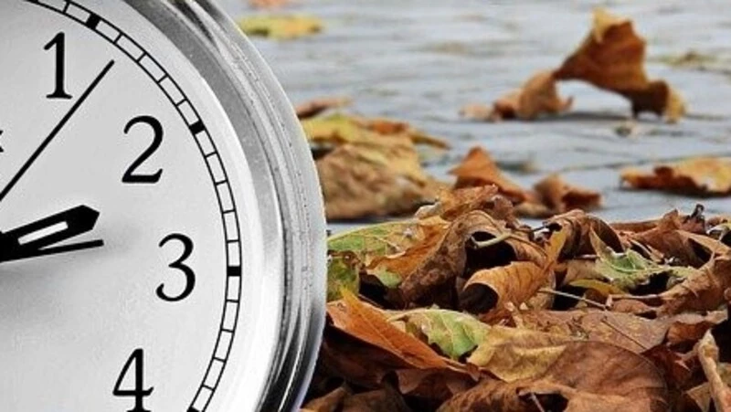 Путин решил бороться с коррупцией, сахалинки оказались очень курящими. Главное на утро 17 августа