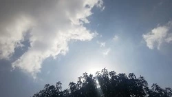 До +28 градусов и низкое атмосферное давление прогнозируют синоптики в Южно-Сахалинске 5 июля