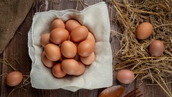 Вице-премьер Абрамченко спрогнозировала стабилизацию цен на яйца после Нового года