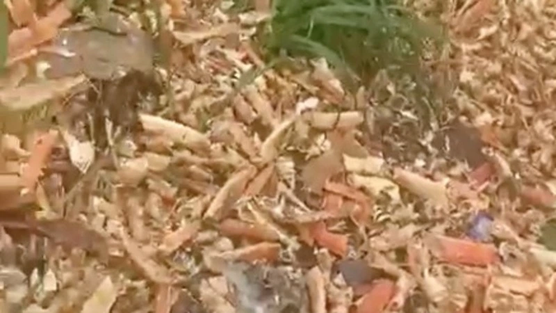 Крабовую свалку нашли сахалинцы в Томаринском районе