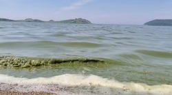 «Каша из водорослей»: популярное озеро зацвело на Курилах