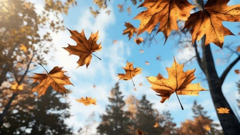 Погода в Южно-Сахалинске 24 октября: +15 и малооблачно