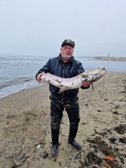 «Хороший таймень»: сахалинский рыбак похвастался уловом и отпустил рыбу обратно