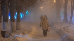 Сильный снег прогнозируют в Южно-Сахалинске 23 января