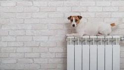 Детские учреждения и часть Южно-Сахалинска остались без отопления 23 октября