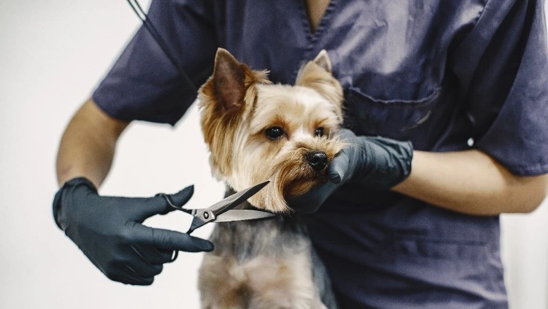 На Сахалине растет спрос на редкие профессии