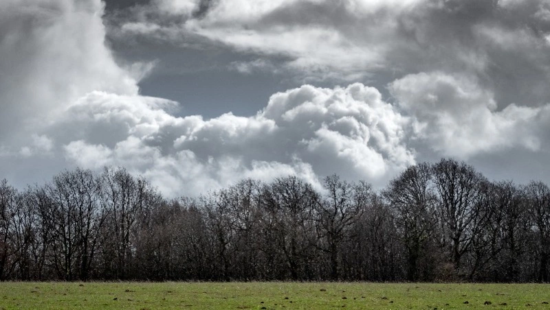 Синоптики прогнозируют холодную и пасмурную погоду в Сахалинской области 27 мая