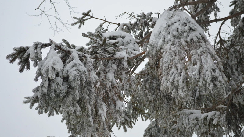 Циклон повредил пять домов и школу искусств на Курилах