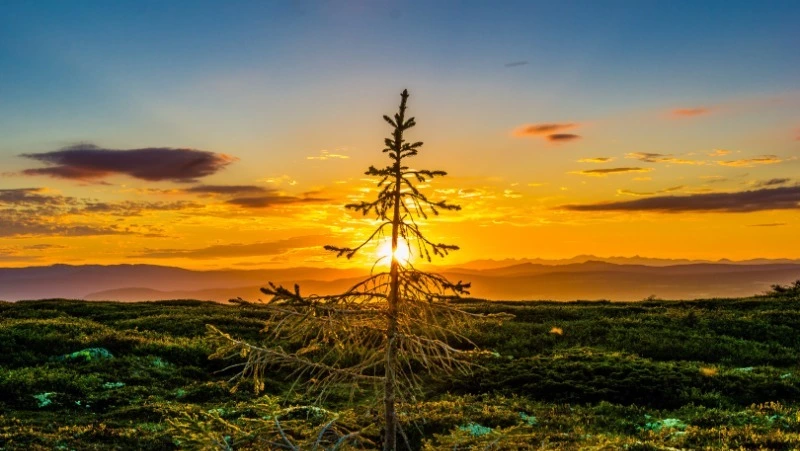 Ветер с запада унесет дожди из Сахалинской области 21 сентября