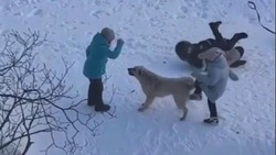 Видео с издевательством детей над собакой в Охе опубликовали в соцсетях
