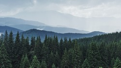 Что делать, если вы заблудились в лесу: правила выживания от сахалинского МЧС   