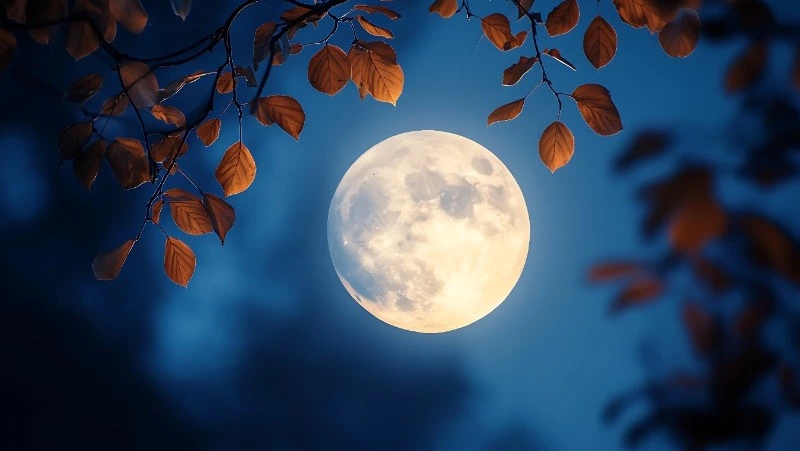 Новолуние в Весах 2 октября 2024: как повлияет на знаки зодиака, что нельзя делать