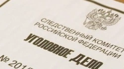 Следователи возбудили уголовное дело из-за нападения собак в Южно-Сахалинске