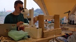 На мысе Анастасия построят современный лабораторный корпус биостанции «Анива»