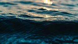 Сахалинские спасатели закончили эвакуировать людей с плавбазы «Петр Житников»