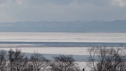 Оторванный припай, севший на мель сухогруз, «Сахалинский лед»: громкие события февраля на островах