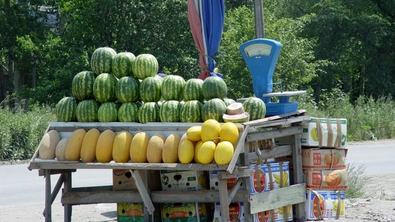 В Южно-Сахалинске у уличного торговца изъяли опасную продукцию