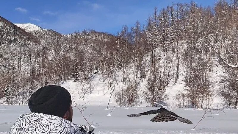 «Зеленый Сахалин» построил для птиц новые вольеры. Фонду дали 500 тысяч рублей