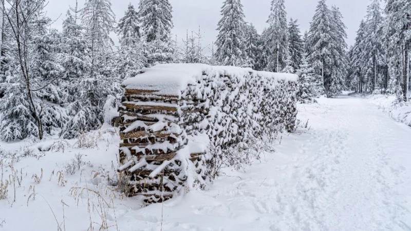 «Сваи забивали в снег»: горе-строители так и не возвели дом для семьи с ребенком на Сахалине