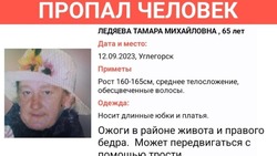 Родственники потеряли 65-летнюю пенсионерку c тростью в Углегорском районе