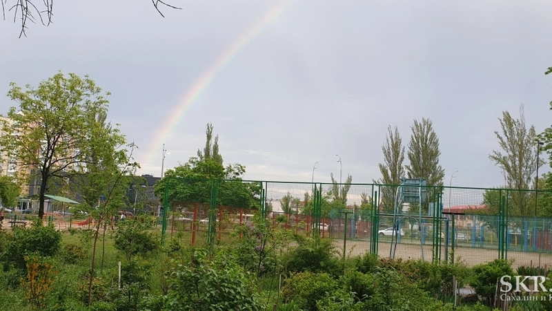 Родственница сахалинки поделилась, как переживают период карантина на Украине