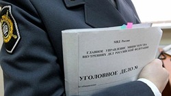 Уголовное дело возбудили после нападения собаки на ребенка в Холмске