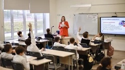 Альфа-Банк разработал программу обучения цифровой и финансовой грамотности для школьников