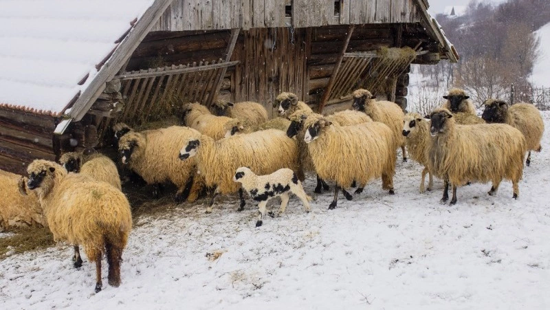 Народные приметы на 28 февраля 2024: что сделать, чтобы не бил муж