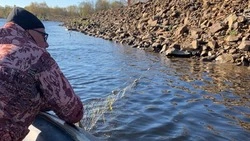 Более 300 кг рыбы и 11 кг икры изъяли у браконьеров на Сахалине за неделю