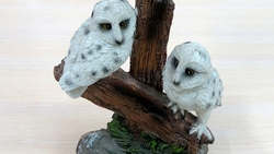 Птицы ночного видения