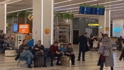 Рейсы из Курильска и Зонального смогут вылететь 11 февраля