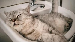 Сотни жителей Южно-Сахалинска проведут 29 сентября без горячей воды