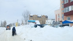Метель со снегопадом ударит по двум районам Сахалинской области 3 февраля