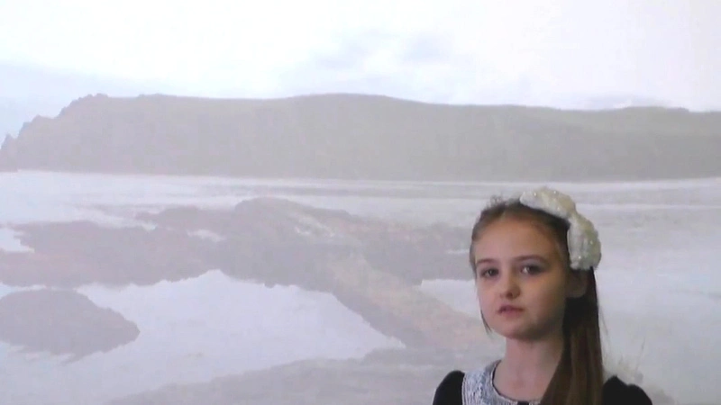 Елизавета Фефелова. «Лебединый край»