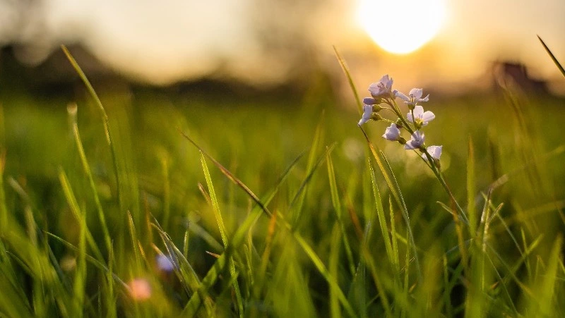 Церковный праздник 1 июня 2023: что нельзя делать в этот день, приметы