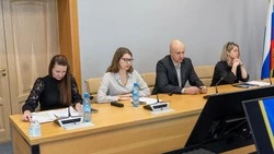 Департаменты Южно-Сахалинска представили проекты с принципами бережливых технологий