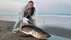 Фотосессию с акулой устроили сахалинцы. Хищницу выбросило на берег