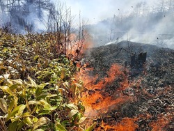В центре Сахалина горело десять тысяч «квадратов» травы