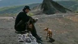 Любопытного рыжего жителя курильского острова встретила семейная пара