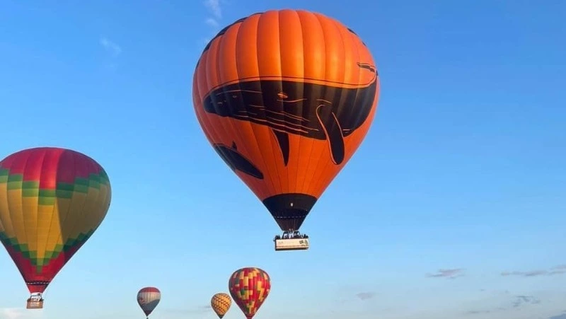 Фестиваль воздушных шаров и гонка дронов: полная программа Климатического форума на Сахалине 