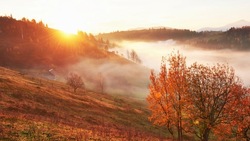 Прогноз погоды на Сахалине и Курилах 30 октября: минусовая температура и ясное небо